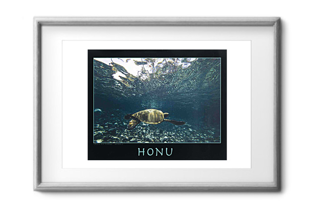 Honu